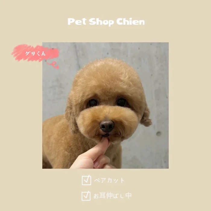画像1001