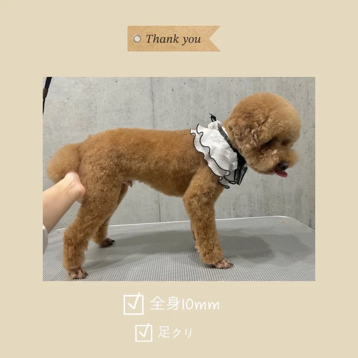 画像1002