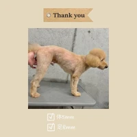 画像1006