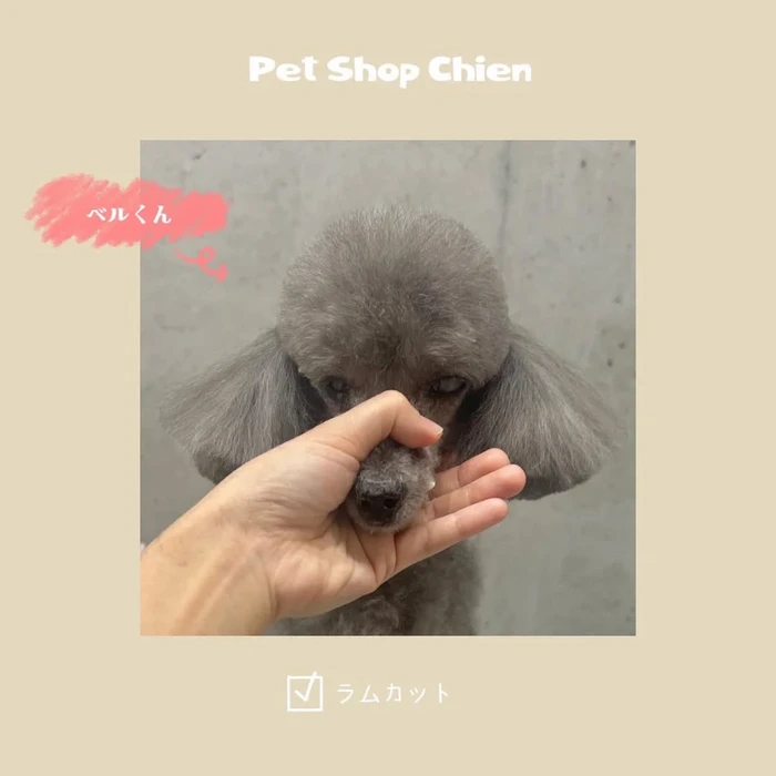 画像1007