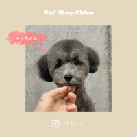 画像1010