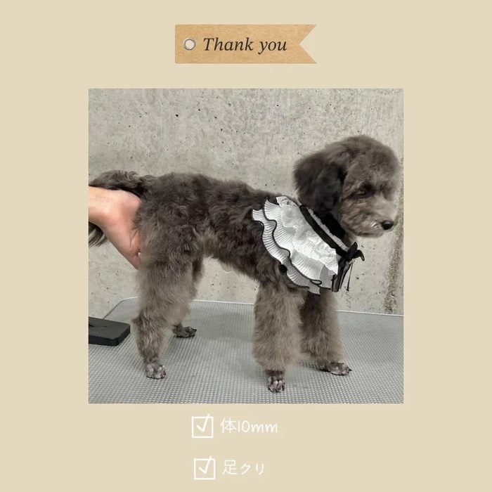 画像1011