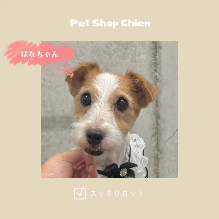 画像1014