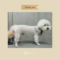 画像1019