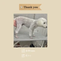 画像1023