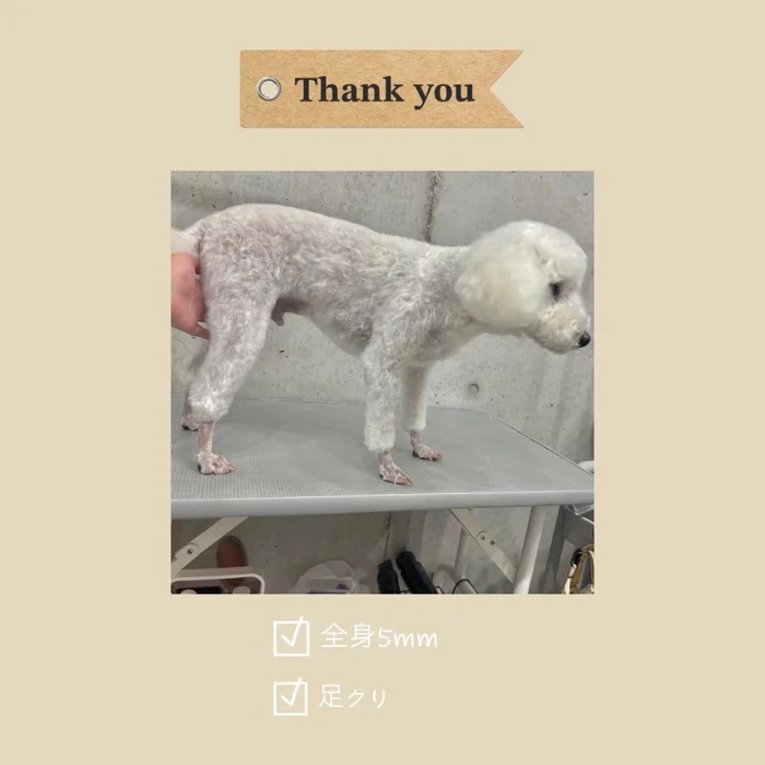 画像1023