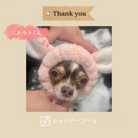 画像1027