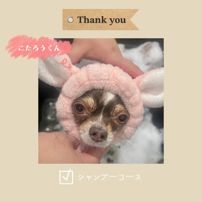 画像1027