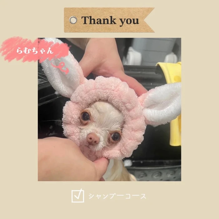 画像1028