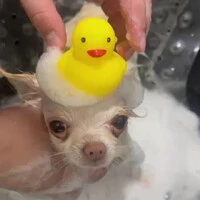 画像1030
