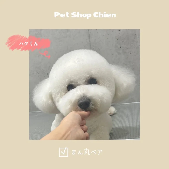 画像1033