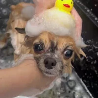 画像1037