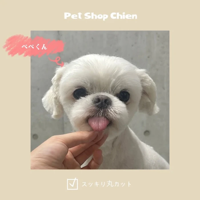 画像1047