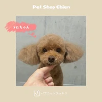 画像1055
