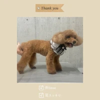 画像1056
