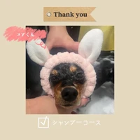 画像1063