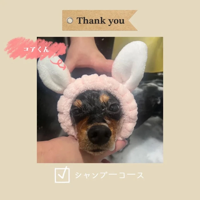 画像1063