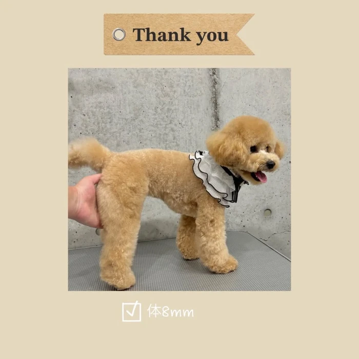 画像1068
