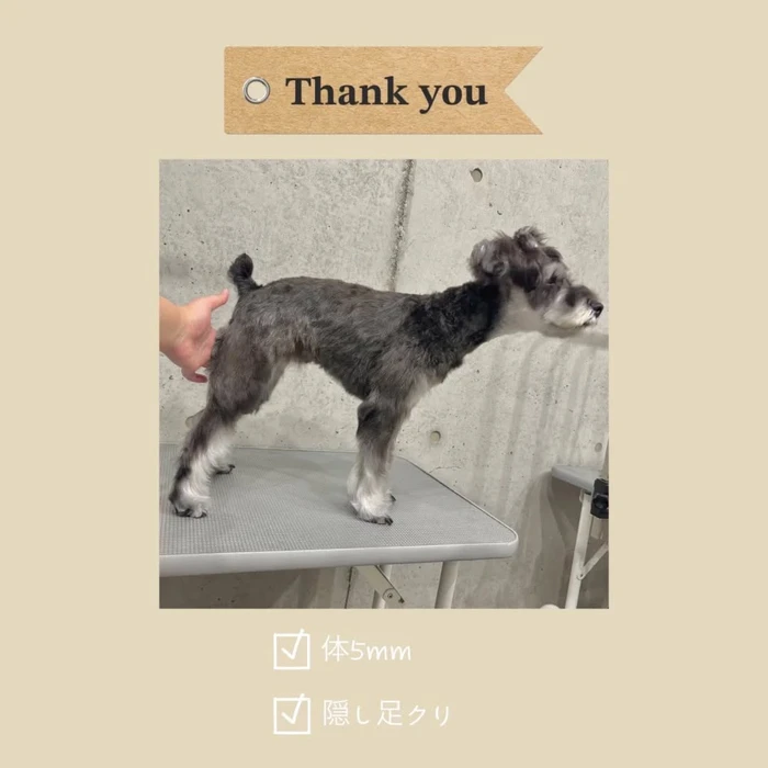 画像1072