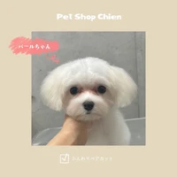 画像1075