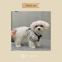 画像1076