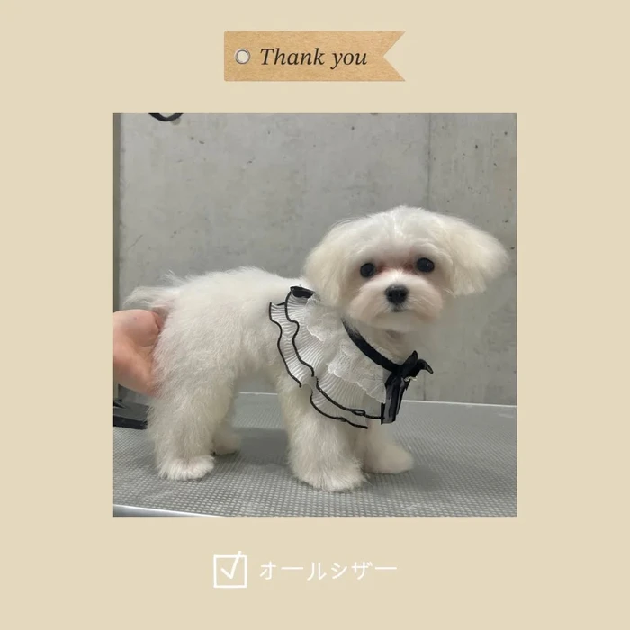 画像1076