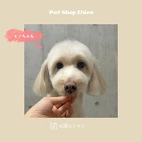 画像1079
