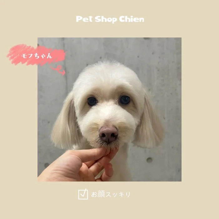 画像1079