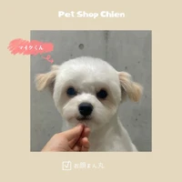 画像1083