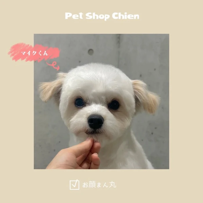 画像1083