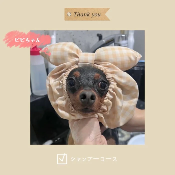 画像1087