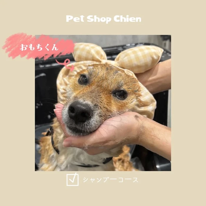 画像1091