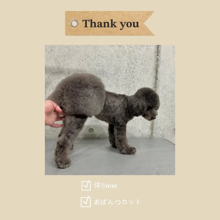 画像1096