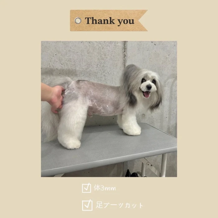 画像1100