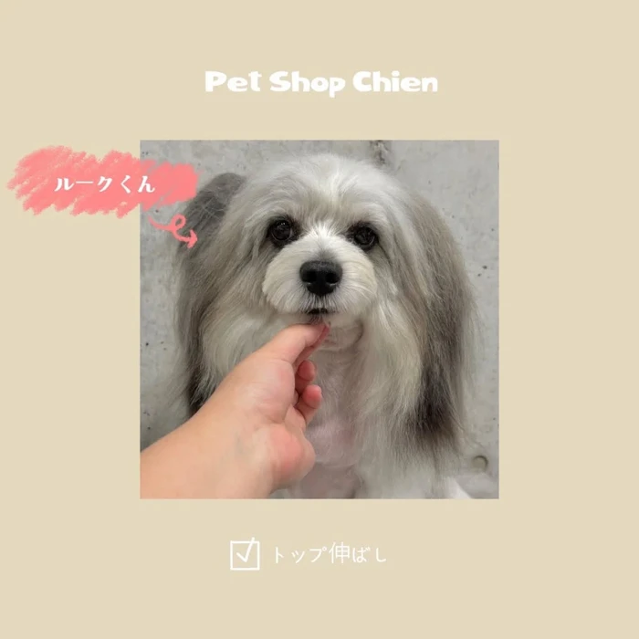 画像1108