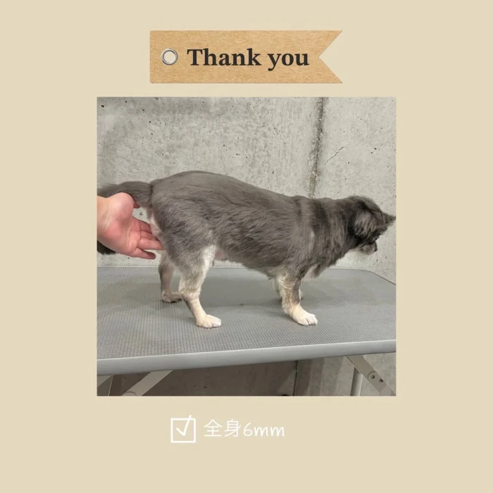 画像1116