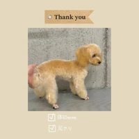 画像1126