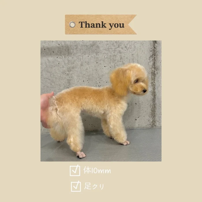 画像1126