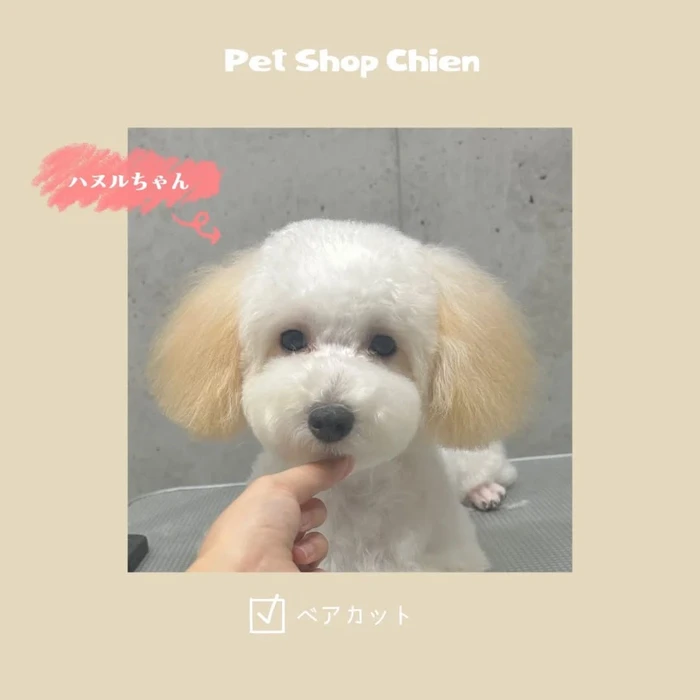 画像1129