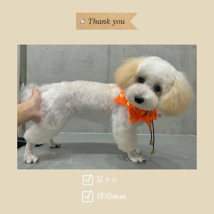 画像1130