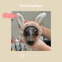 画像1133