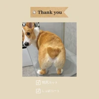 画像1142