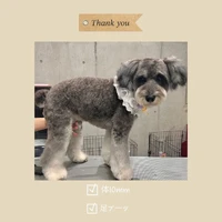 画像1154