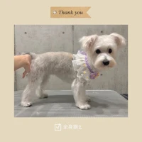 画像1167