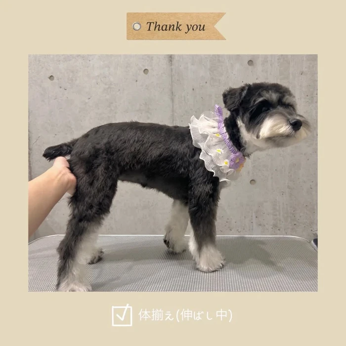 画像1171