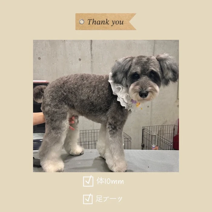 画像1193