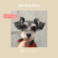 画像1200