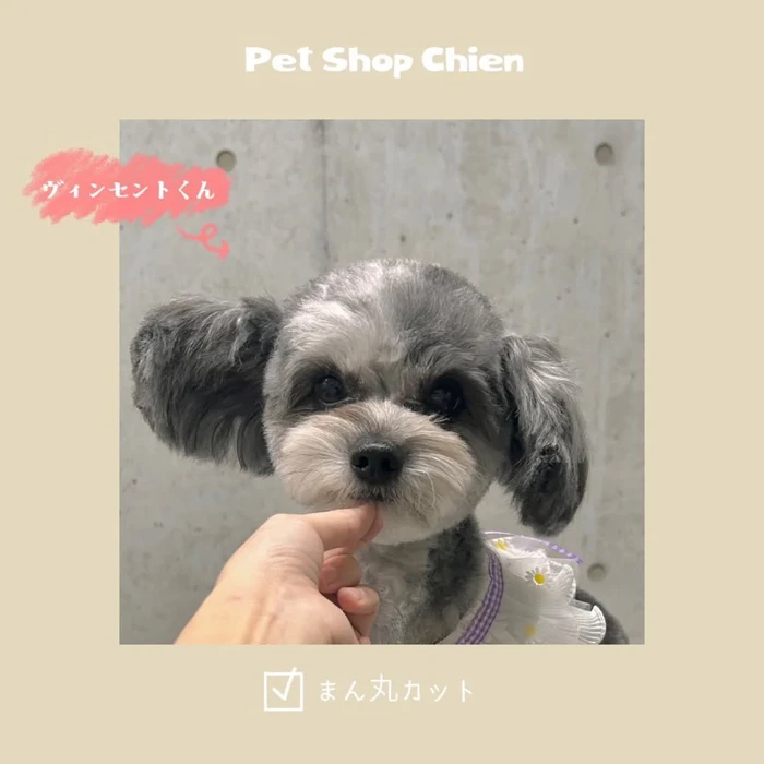 画像1204