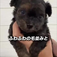 画像1207