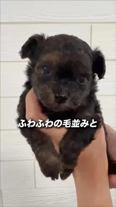 画像1207